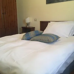 https://hotel-belvedere-pieve-di-cadore.hotelinveneto.com